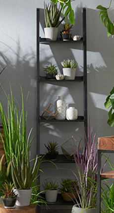 Wohntrend Lovely Jungle