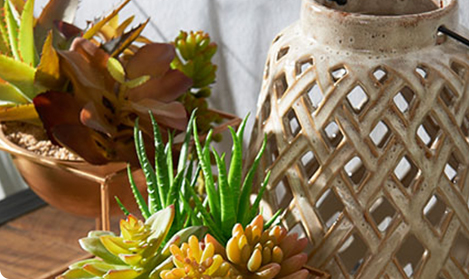 Wohntrend Lovely Jungle
