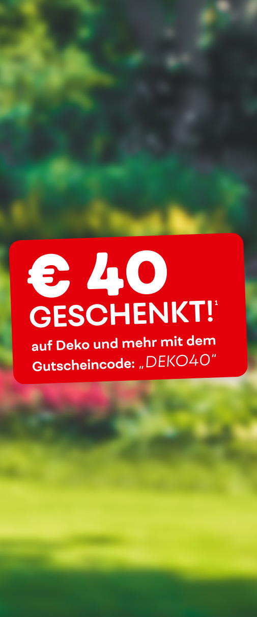 Garten mit Wiese, Sträuchern und Bäumen.
Text: 40 Euro geschenkt! (1) auf Deko und mehr mit dem Gutscheincode: "DEKO40"