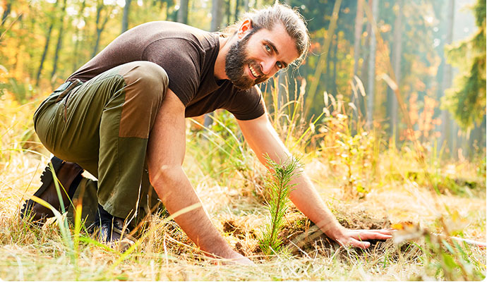 Mann hockt im Wald und pflanzt einen Baum.