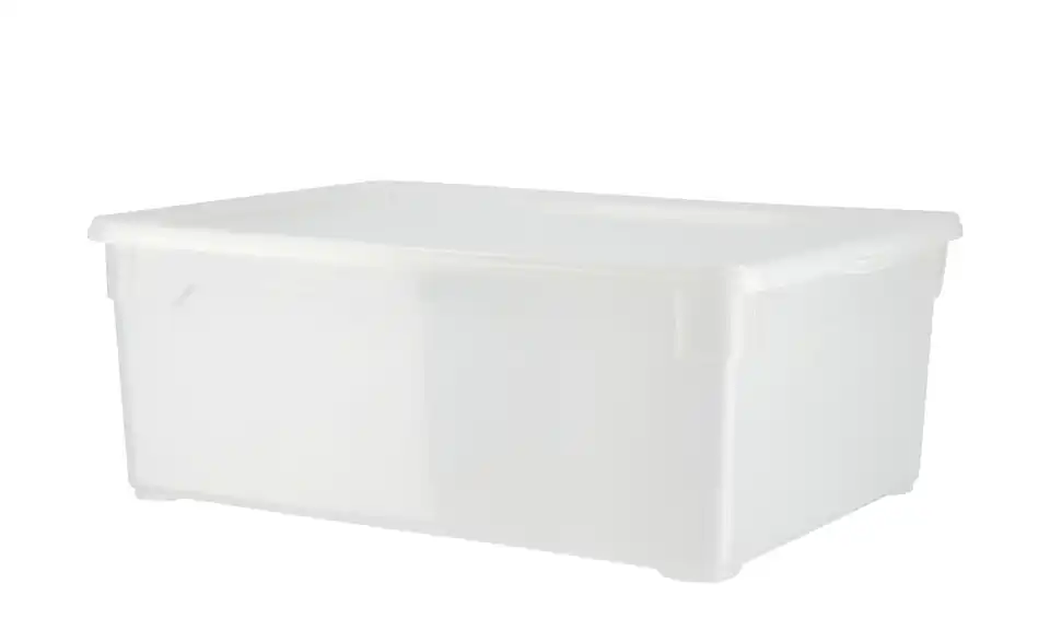 Rotho 3er Set Aufbewahrungsbox, Perspektive