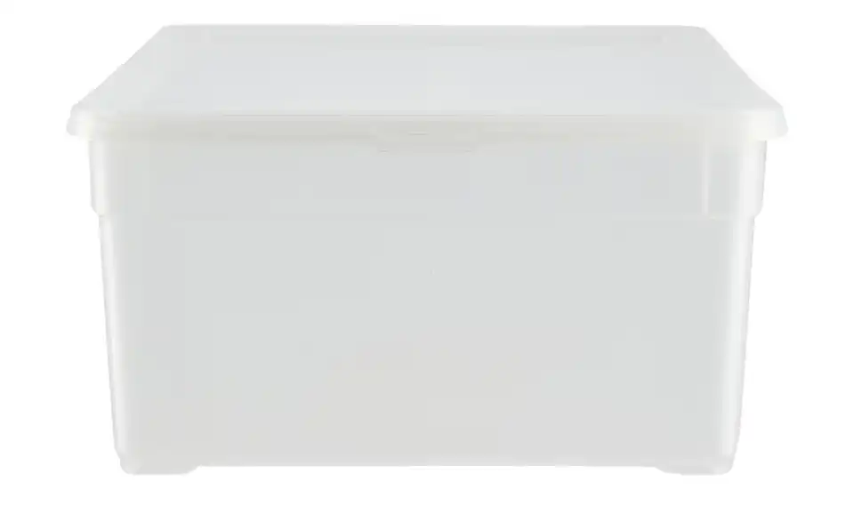 Rotho 3er Set Aufbewahrungsbox, Perspektive