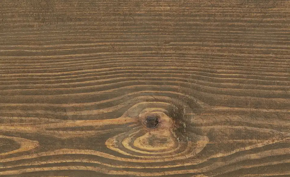 Wandboard mit Baumkante, Detailansicht