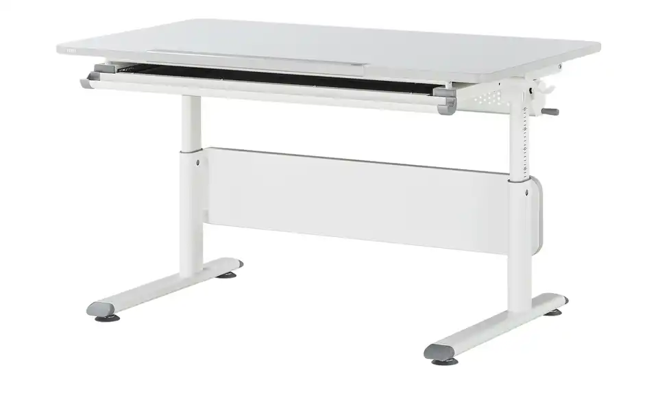 PAIDI Schülerschreibtisch, Perspektive