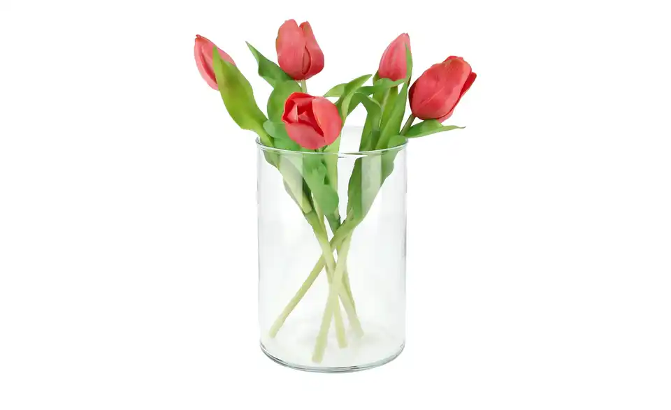 Tulpenbund, in Wohnsituation