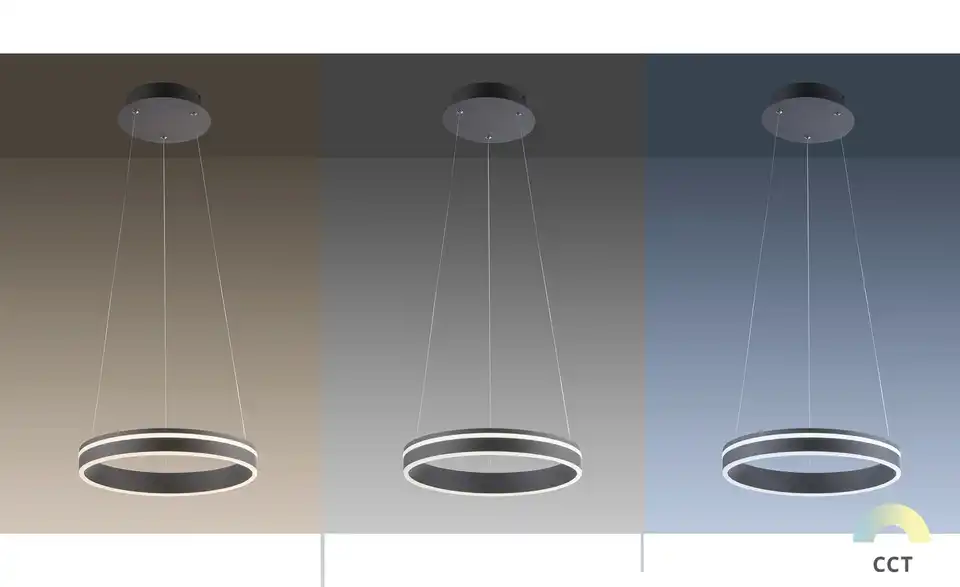 Q-Smart Home Lights Pendelleuchte, 1-flammig, anthrazit, Funktionsansicht