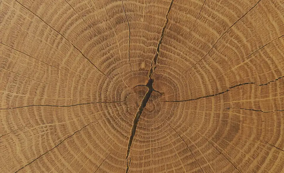 Barschrank, Detailansicht