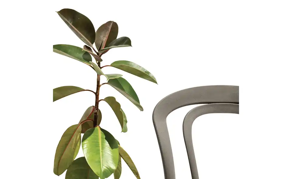 Connubia Stuhl Caffe stapelbar, in Wohnsituation