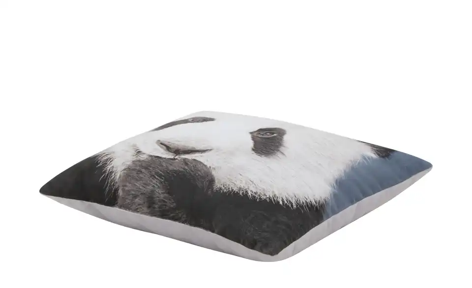 Dekokissen Panda, Perspektive