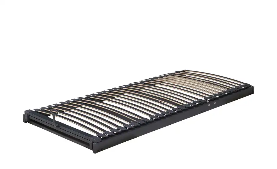 TEMPUR Lattenrahmen, Perspektive