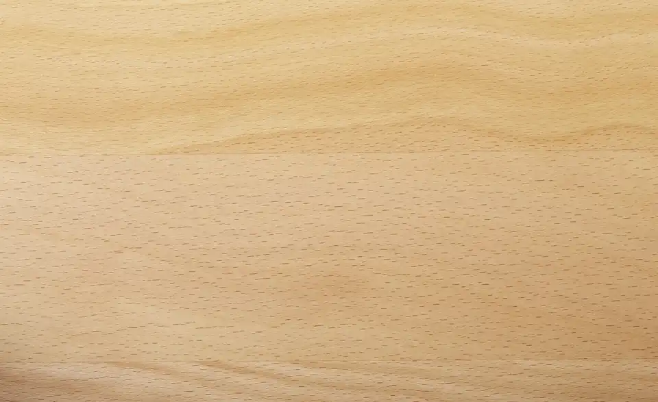 Woodford Polsterstuhl Olivia, Detailansicht