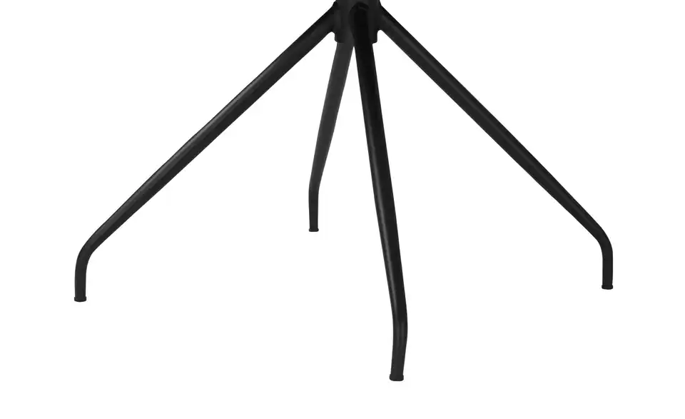 Jette Home Polsterstuhl Ferro, Detailansicht