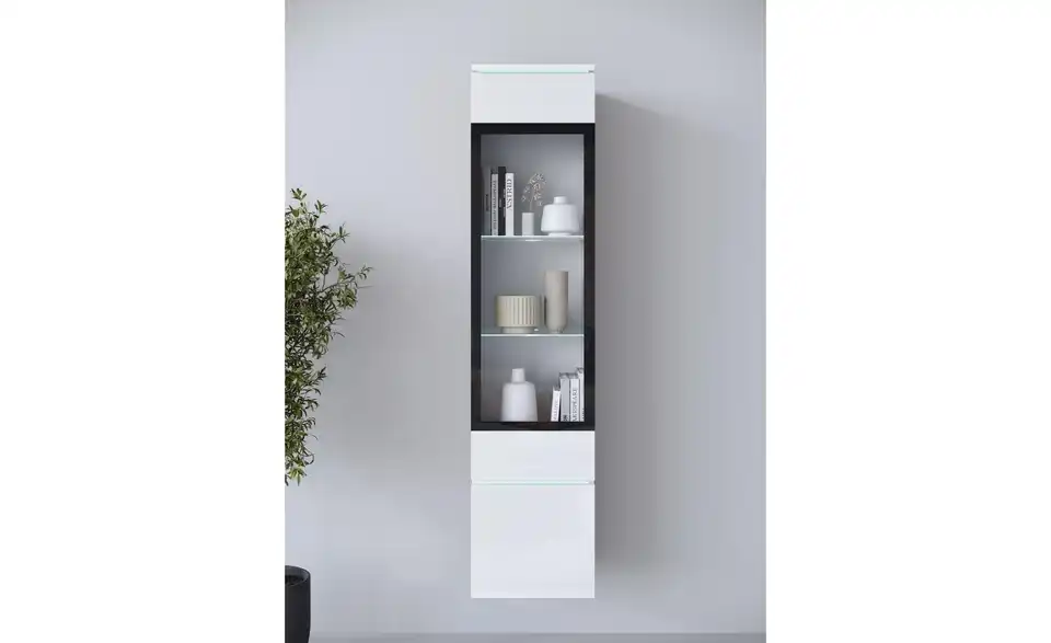 Vitrine, in Wohnsituation