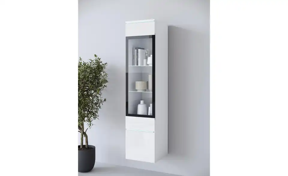 Vitrine, in Wohnsituation