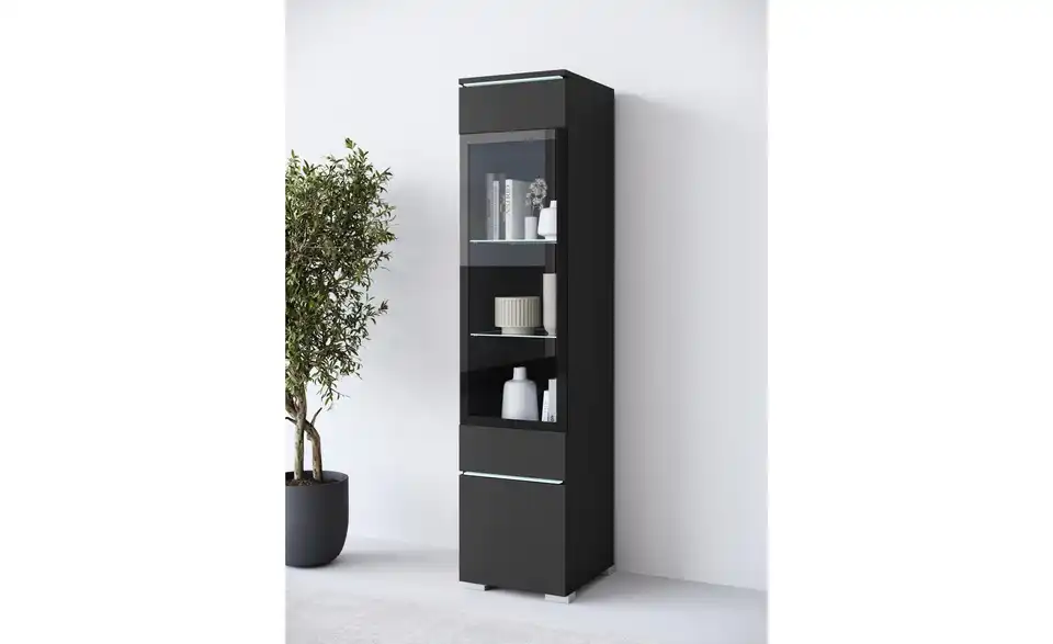 Vitrine, in Wohnsituation