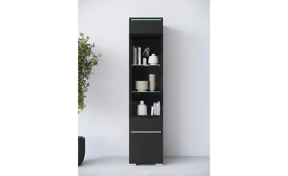 Vitrine, in Wohnsituation