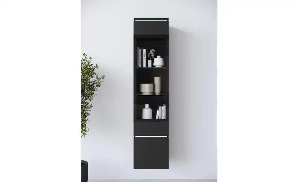 Vitrine, in Wohnsituation