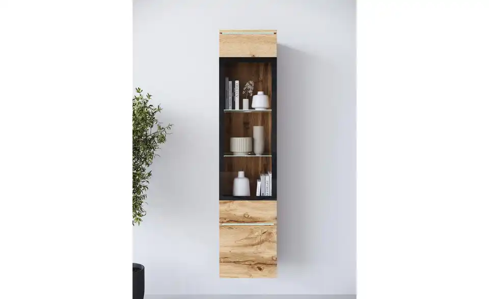 Vitrine, in Wohnsituation