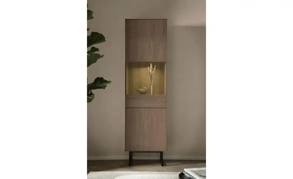 Vitrine, in Wohnsituation