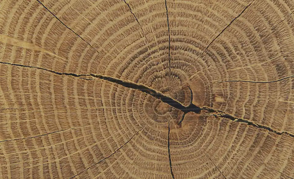 Schuhschrank, Detailansicht