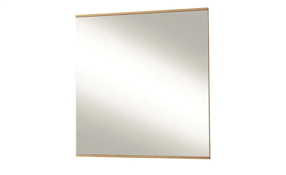 MONDO Spiegel Aralia, Perspektive