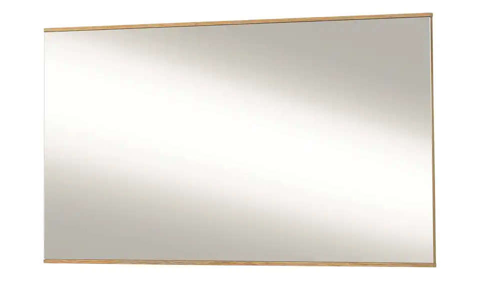 MONDO Spiegel Aralia, Perspektive