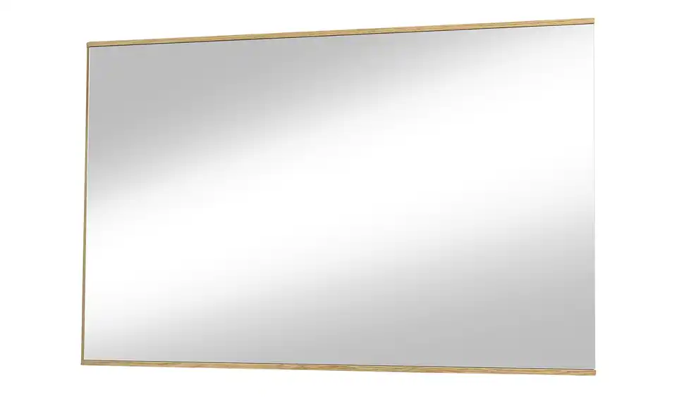 MONDO Spiegel Aralia, Perspektive