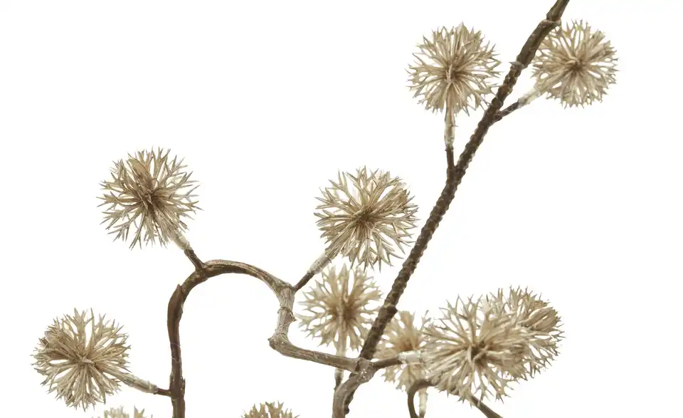 HOME STORY Deko Distelzweig, Detailansicht