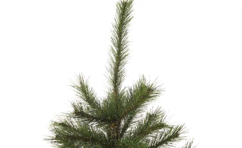 Kunsttannenbaum, Detailansicht
