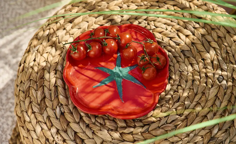 HOME STORY Teller Tomate, in Wohnsituation