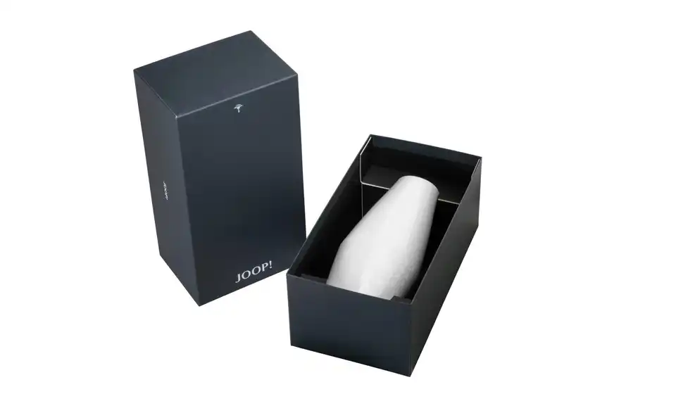 JOOP! Vase, Verpackung