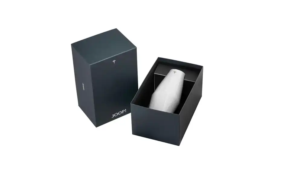 JOOP! Vase, Verpackung