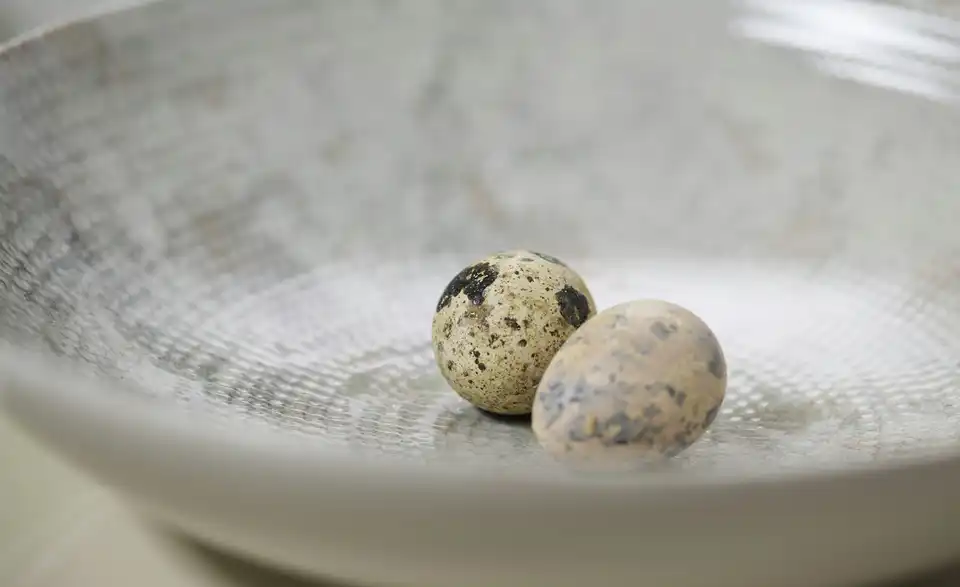 Ritzenhoff & Breker Kaffeeservice Cecina 12-teilig, in Wohnsituation