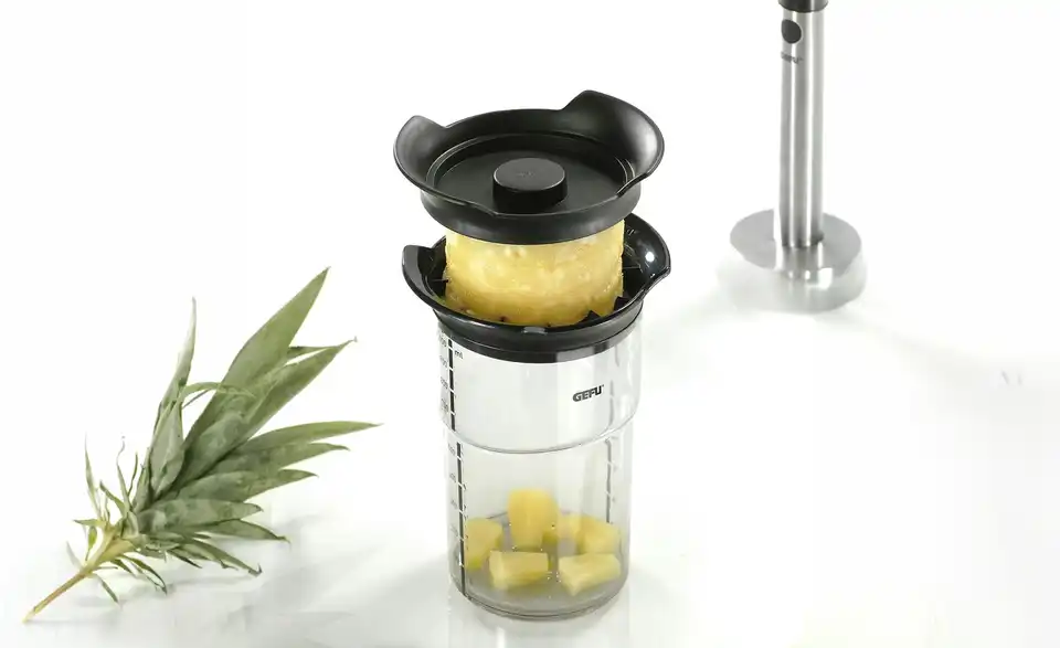 Gefu Ananasschneider Professional Plus, in Wohnsituation