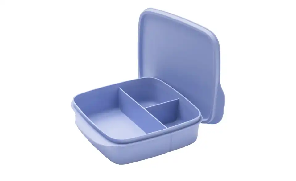 Tupperware Lunchbox, Perspektive