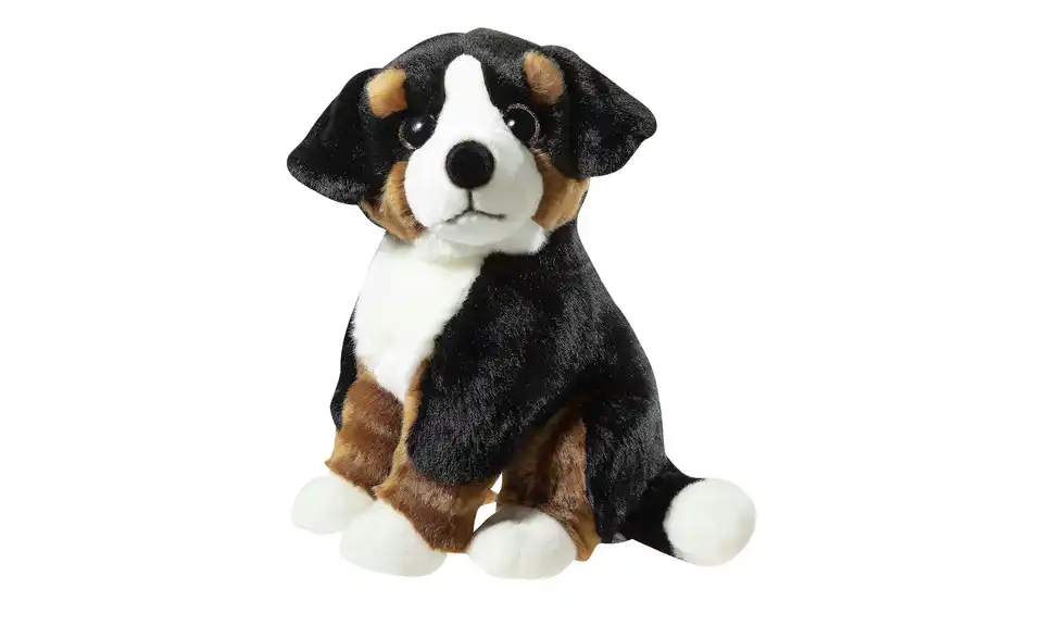 Sennenhund