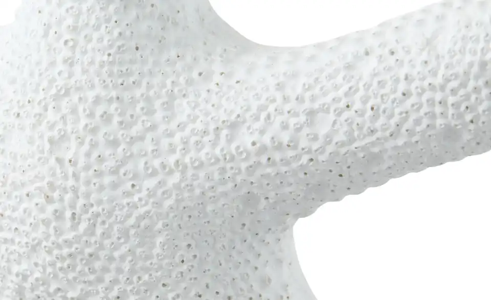 HOME STORY Deko Seestern, Detailansicht