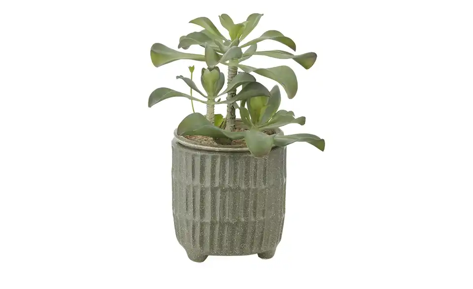 HOME STORY Übertopf, Funktionsansicht