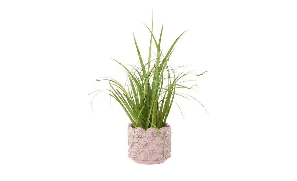 Übertopf, in Wohnsituation