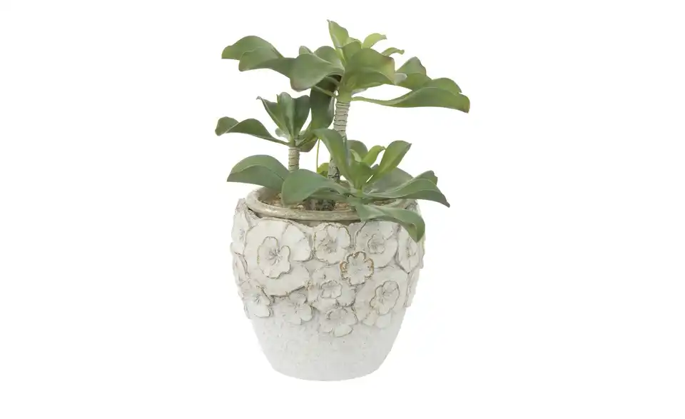 Übertopf Blumen, in Wohnsituation