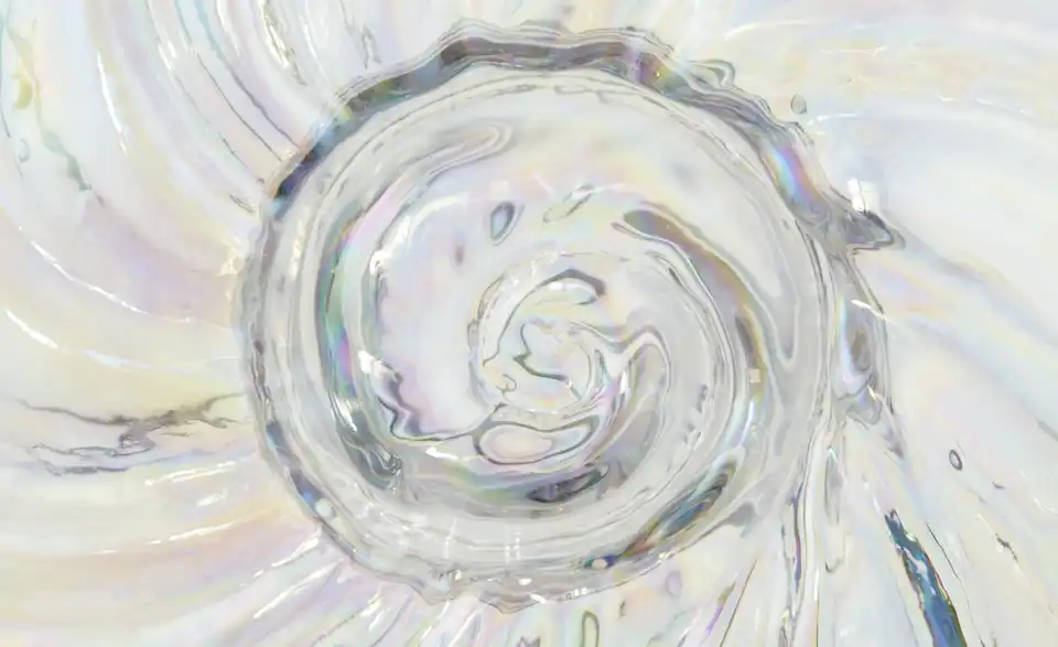 Vase Muschel, Detailansicht