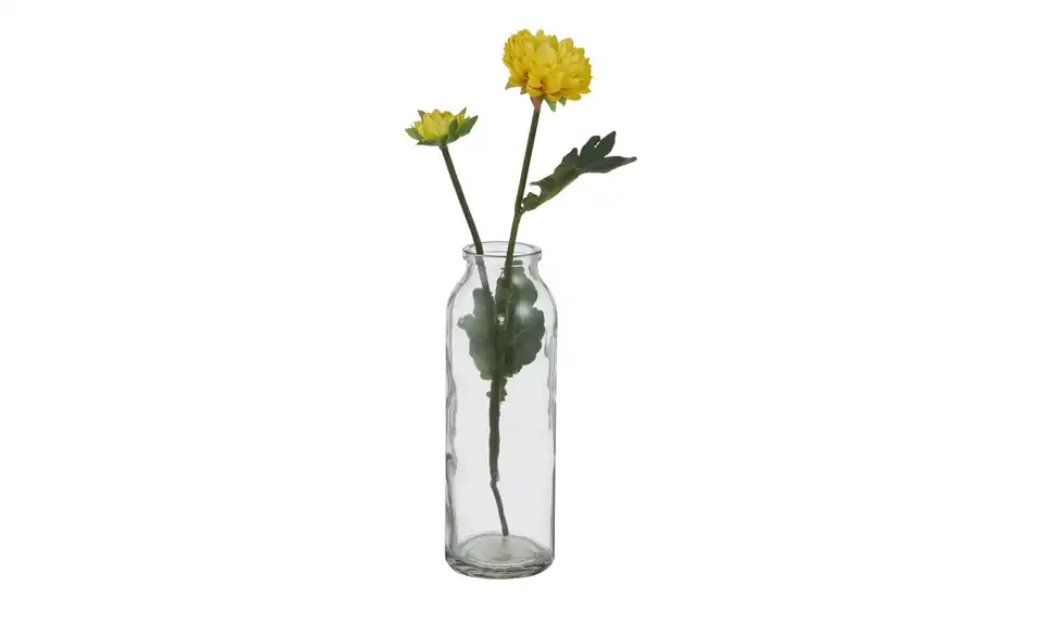 Vase, Frontansicht