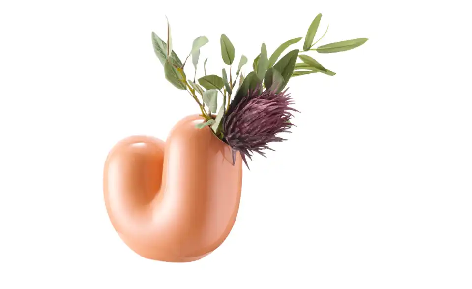 DONKEY Vase Sulcus, Perspektive
