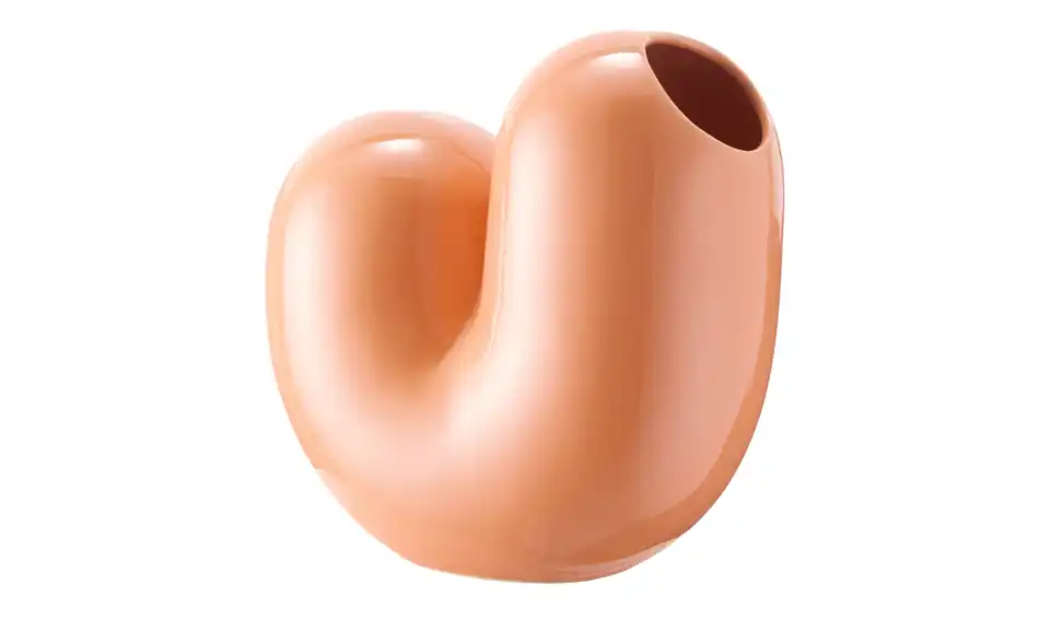 DONKEY Vase Sulcus, Perspektive