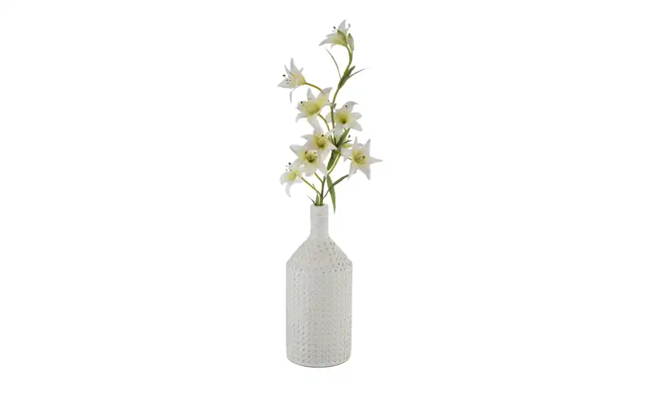 HOME STORY Deko Vase, Funktionsansicht