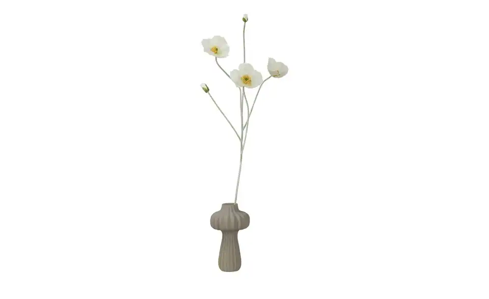 Klatschmohn, Perspektive