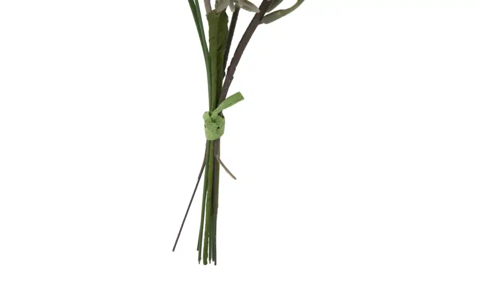 Eukalyptus Rosmarinstrauß, Detailansicht