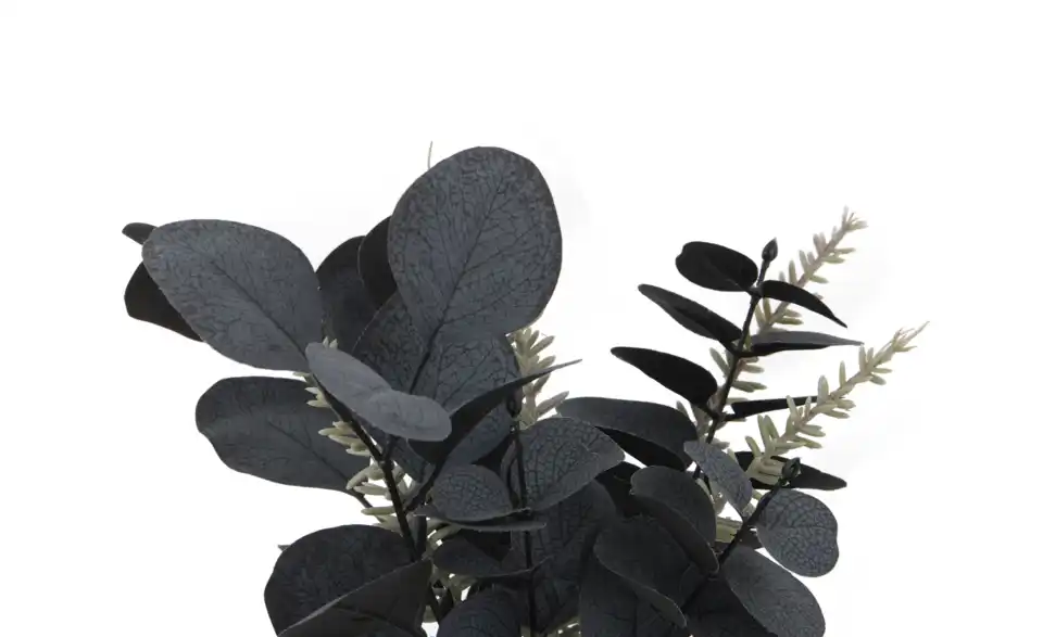 Eukalyptus Rosmarinstrauß, Detailansicht