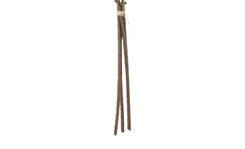 Eukalyptusbund, Detailansicht