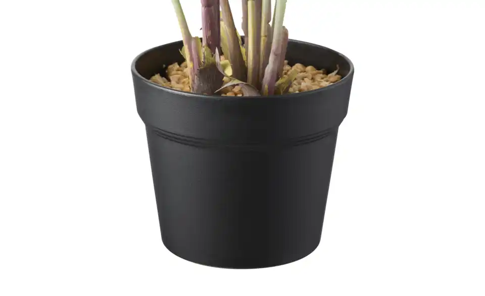 Strelitzia getopft, Detailansicht